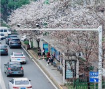 关于智能候车亭，其核心功能和技